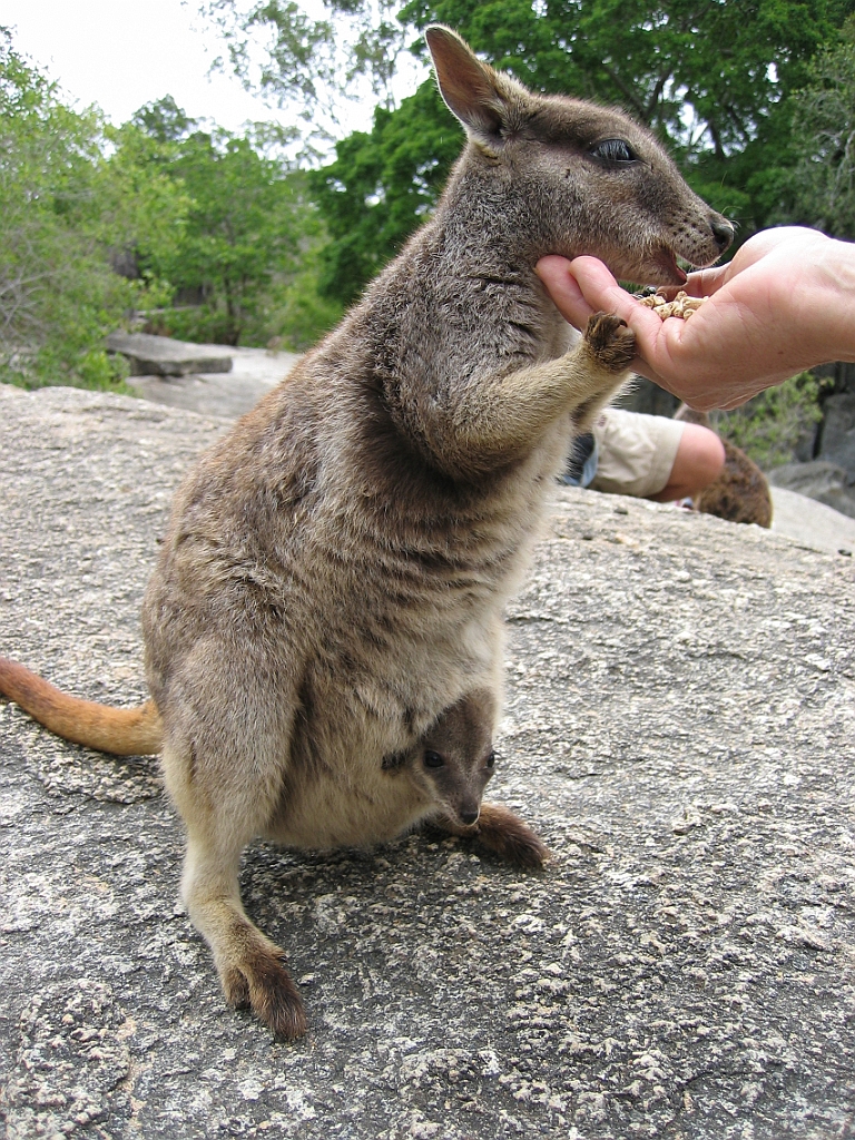 115 Granite Gorge.jpg